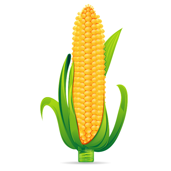 Maíz