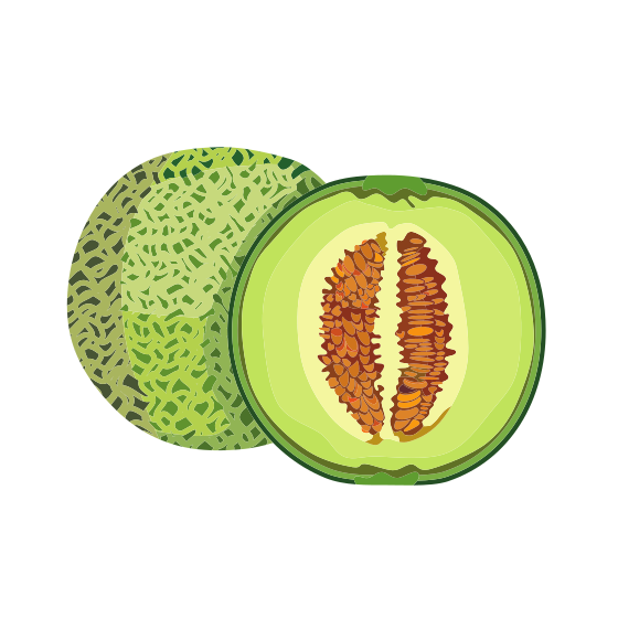 Melón